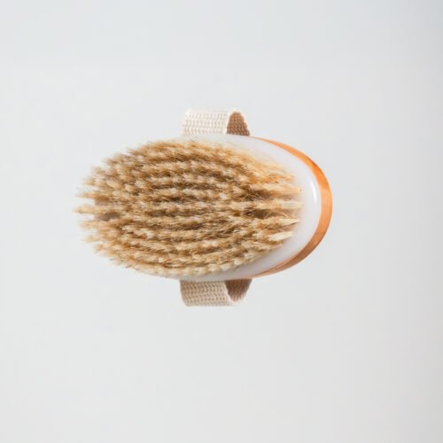 Brosse en Poils de Sanglier